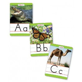 Animals Alphabet Set Manuscript